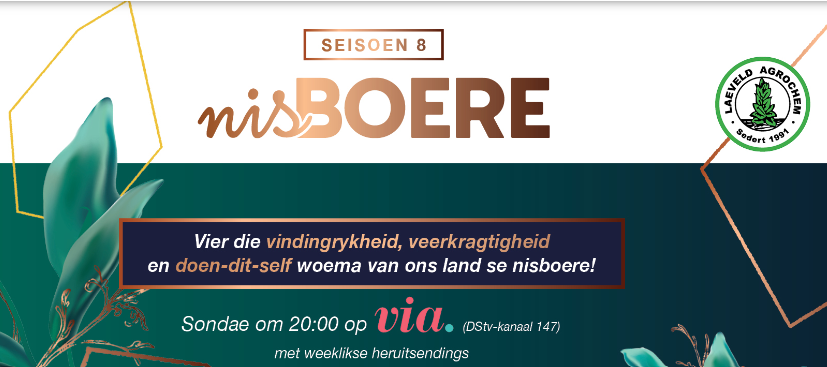NisBoere-tv
