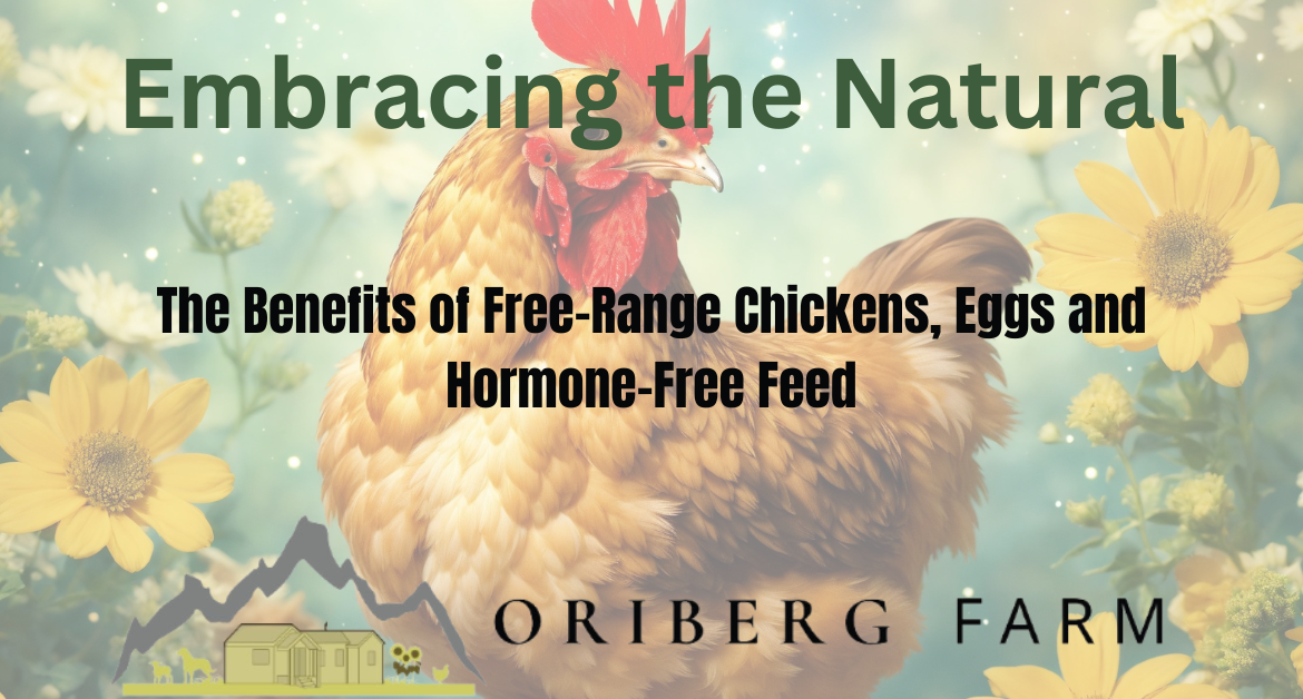 free-range-chicken