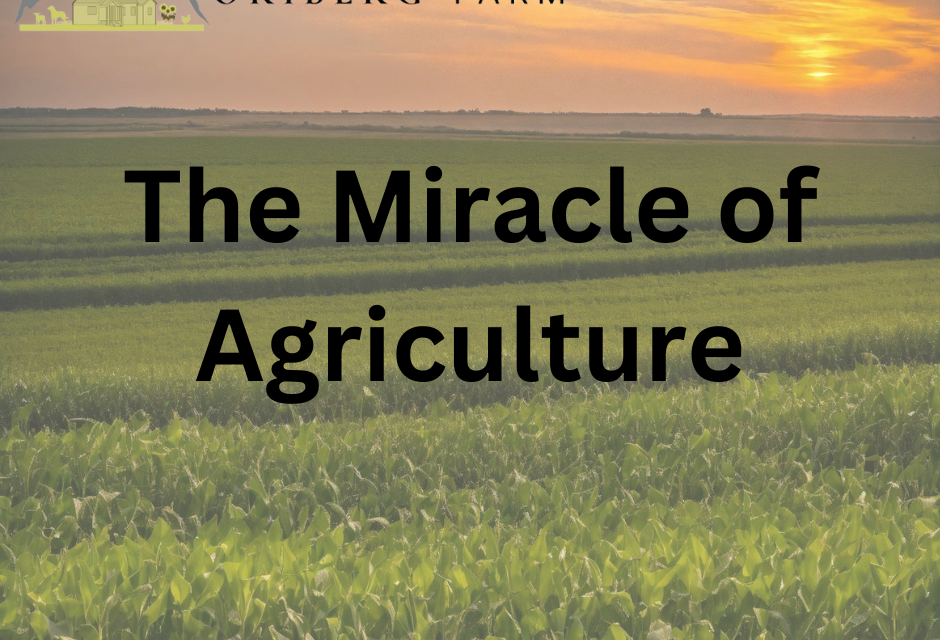The Miracle of Agriculture