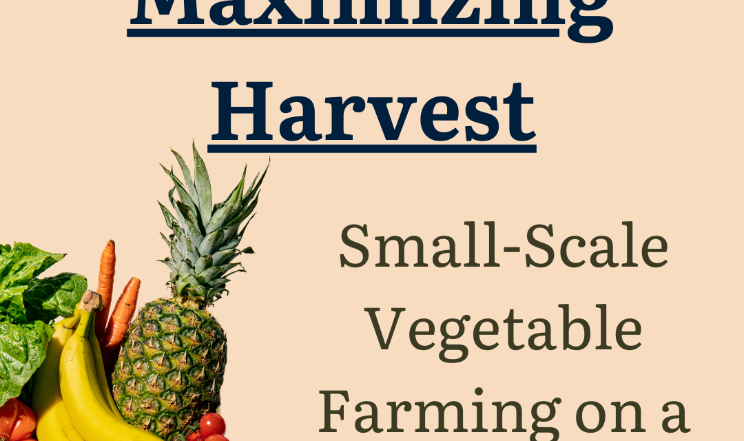 Small-Scale Farming