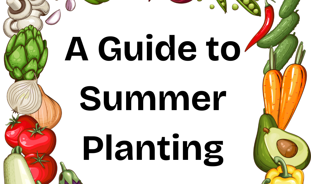 Summer Planting