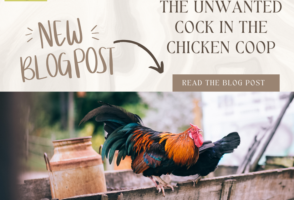Unwanted Cock in the Chicken Coop
