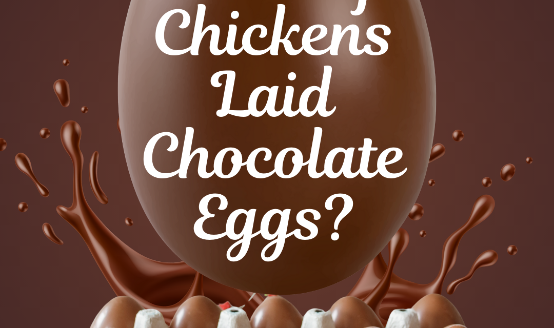 What If Chickens Laid Chocolate Eggs?