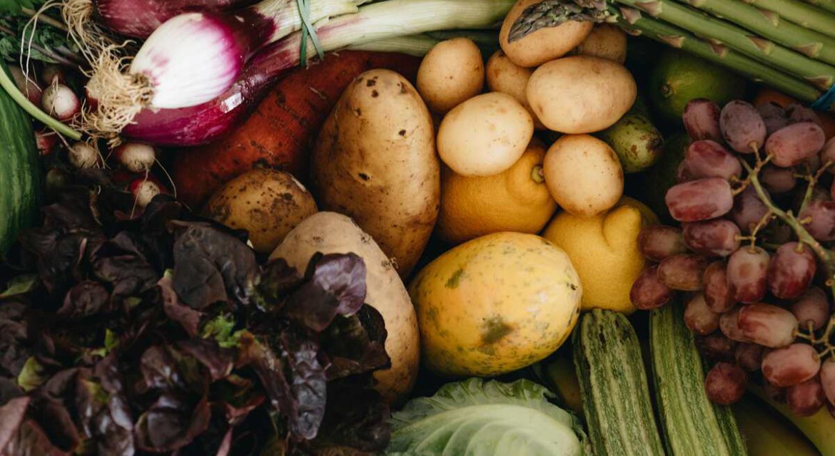 Farm-based produce aging naturally with intact texture and colour compared to rapidly spoiling industrial food.