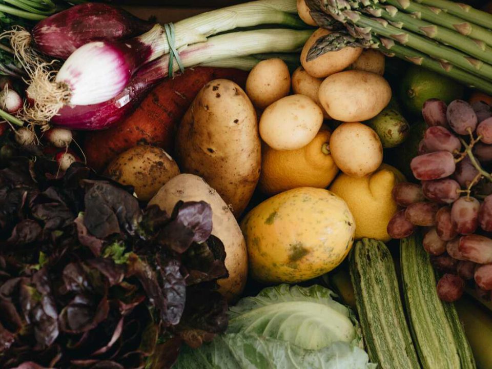 Farm-based produce aging naturally with intact texture and colour compared to rapidly spoiling industrial food.