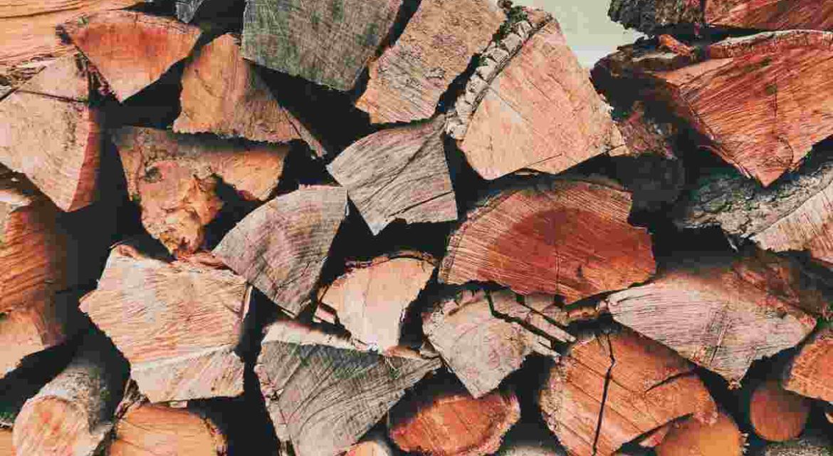 Difference between firewood and braai wood shown through stacked wood prepared for heating and outdoor cooking.