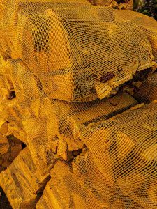 Bulk firewood South Africa stacked neatly in an outdoor storage area for winter preparation.