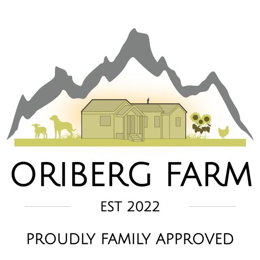 oriberg logo