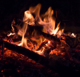 Close-up of a crackling campfire with glowing embers and dancing flames