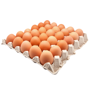 Free Range Eggs