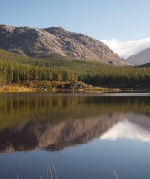 Mountain lake reflection with pine forest and rocky peaks
