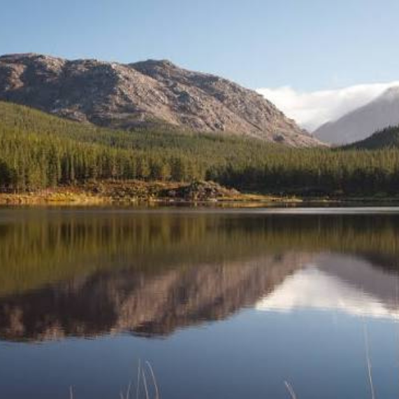 Reflection of a mountain and pine forest on a calm lake